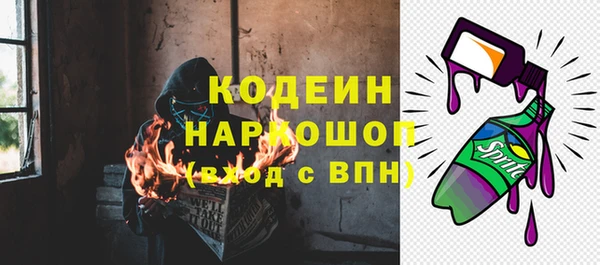 амф Няндома