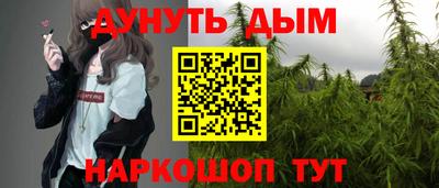 сатива Камышлов