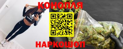 сатива Камышлов