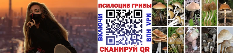 Галлюциногенные грибы прущие грибы  Ковров 